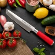 Dick Red Spirit Tanto kés - 21cm