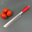 Dick Red Spirit Tanto kés - 21cm